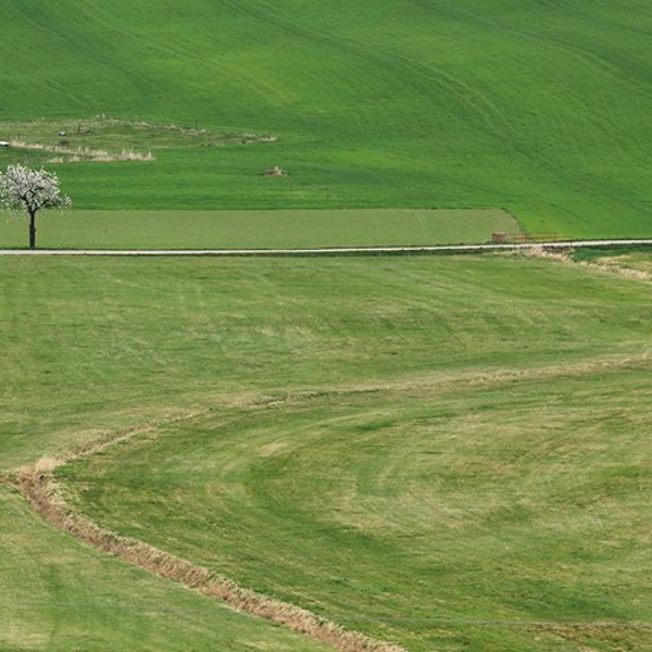 Image /media/0dppsn10/countryside15.jpg