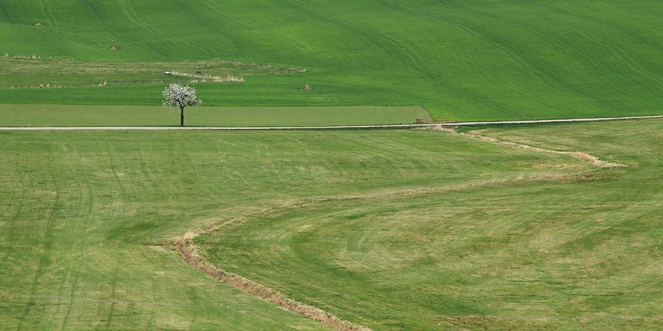 Image /media/0dppsn10/countryside15.jpg