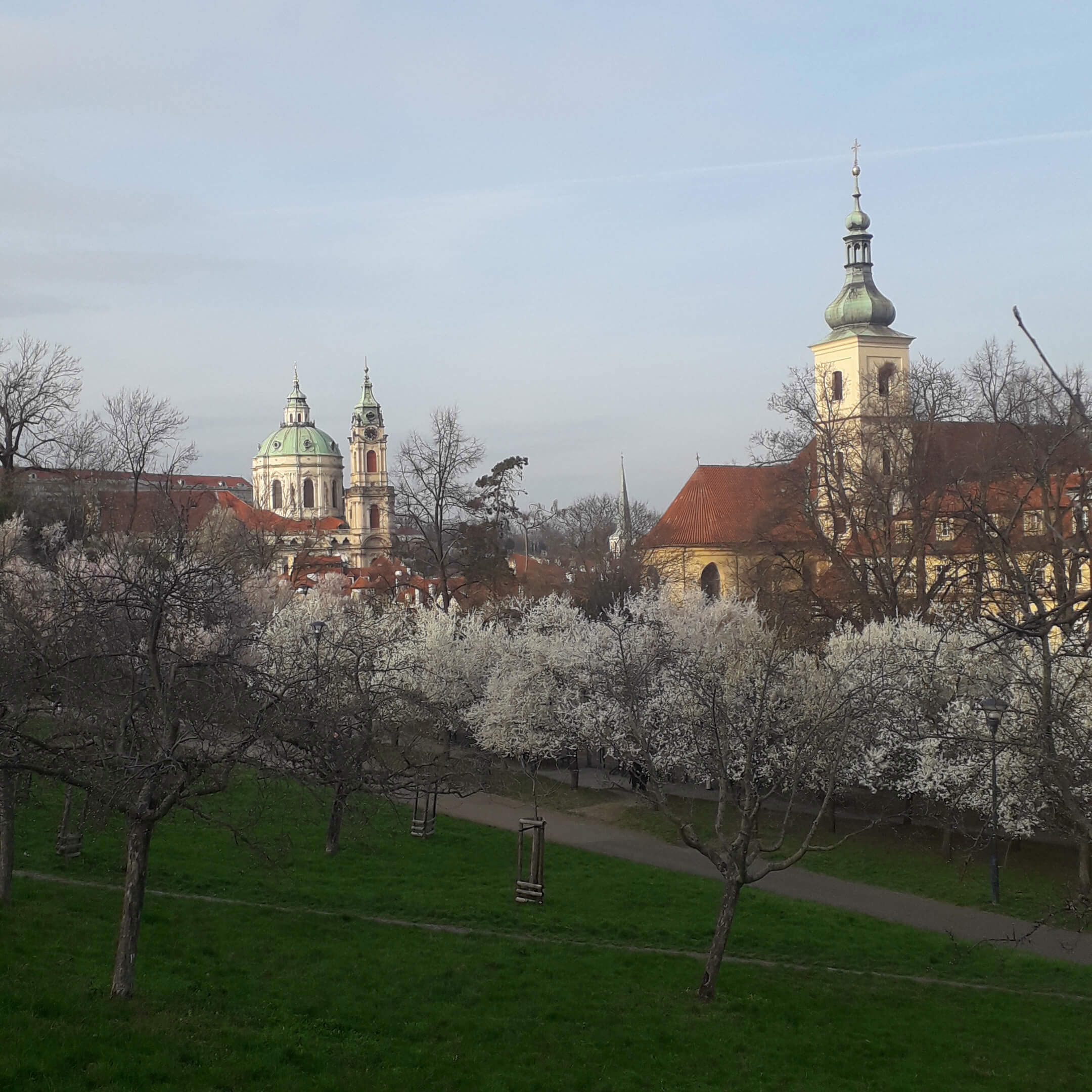 Obrázek /media/20iao2j0/20240320_162954.jpg