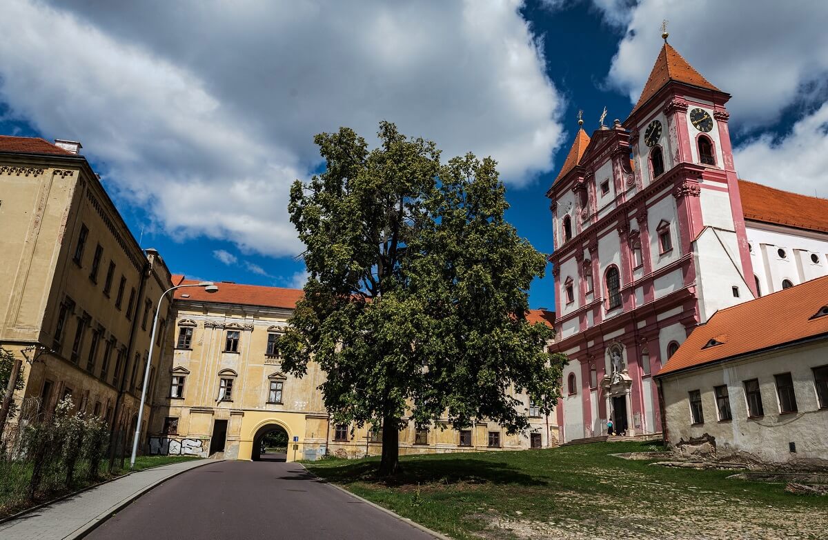 Obrázek /media/afpnziph/dsc_5871.jpg