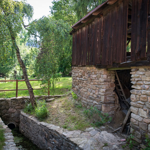 Obrázek /media/d43ewava/_dsc8884.jpg