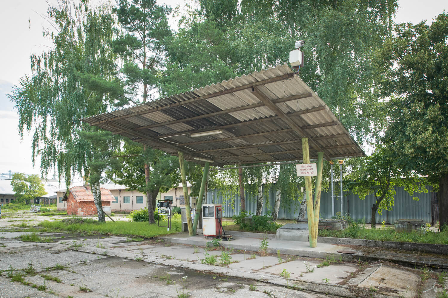 Obrázek dsc5558.jpg