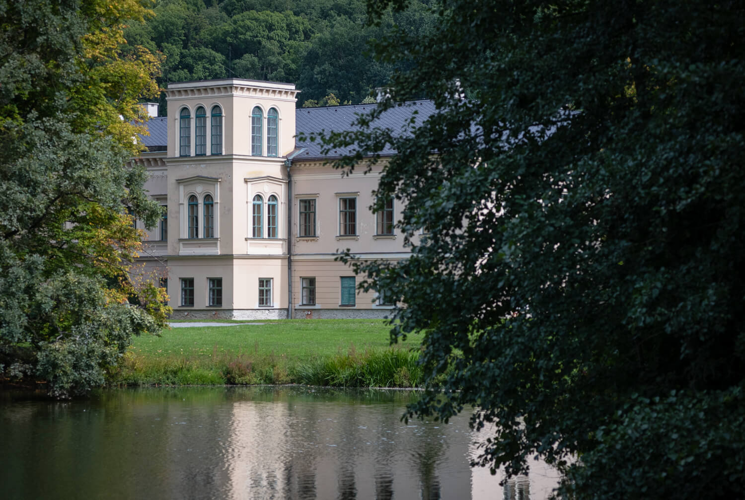 Obrázek dsc1436.jpg