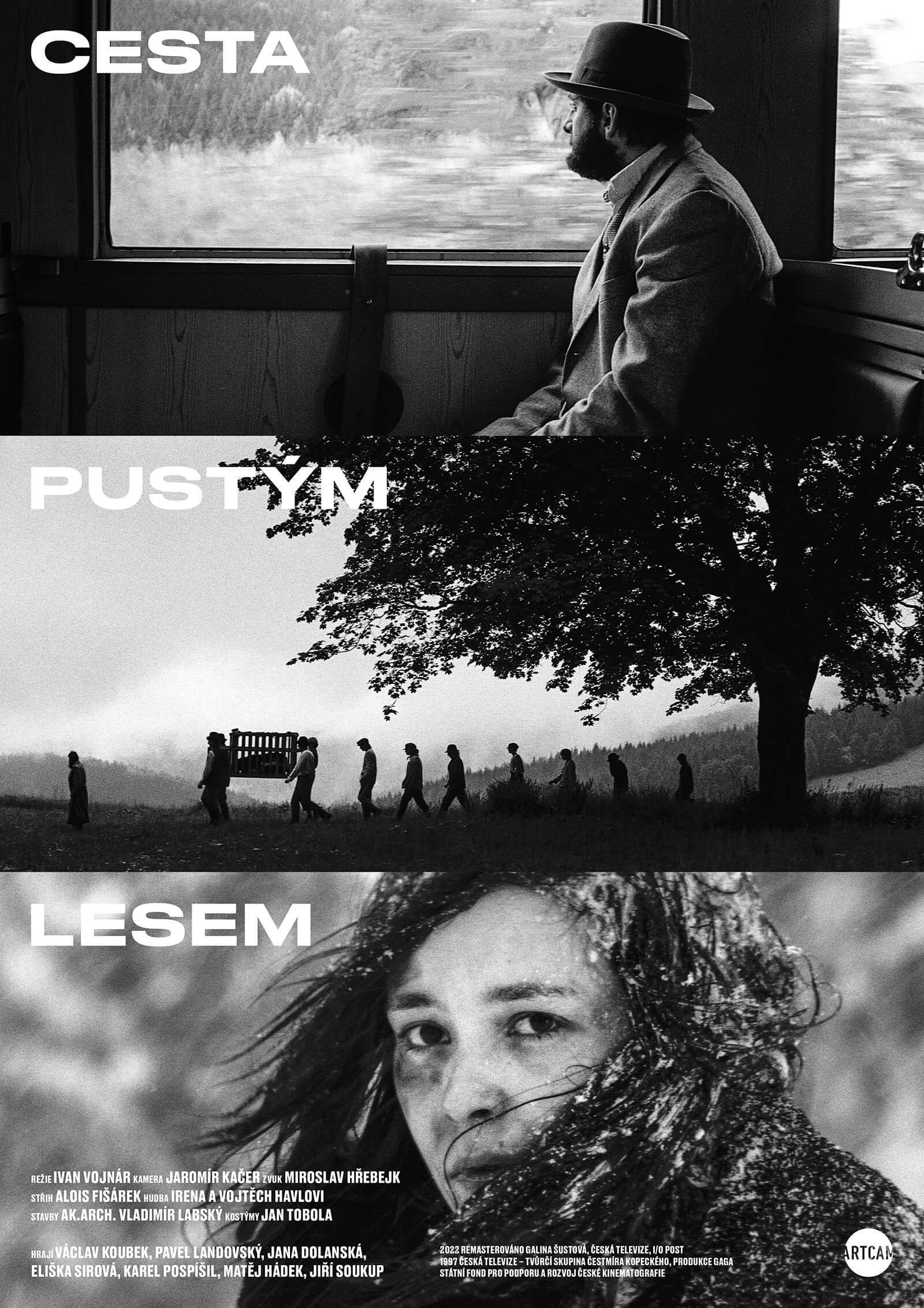 Obrázek /media/enkh0hmm/cesta-pustym-lesem-artcam-a1-rgb.jpg