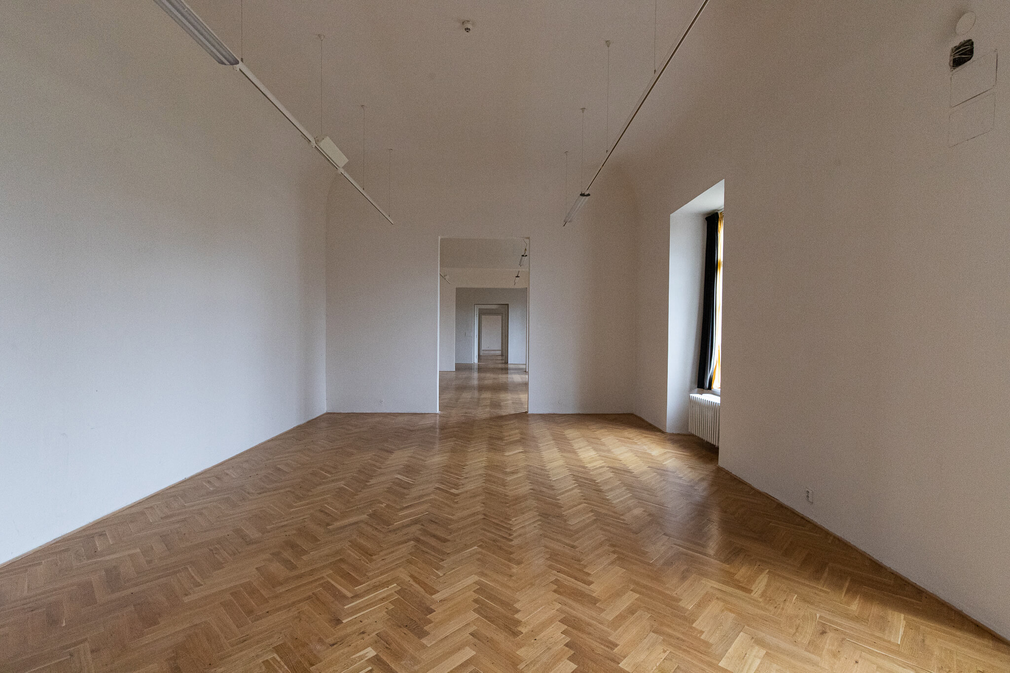 Obrázek img_4349.jpg