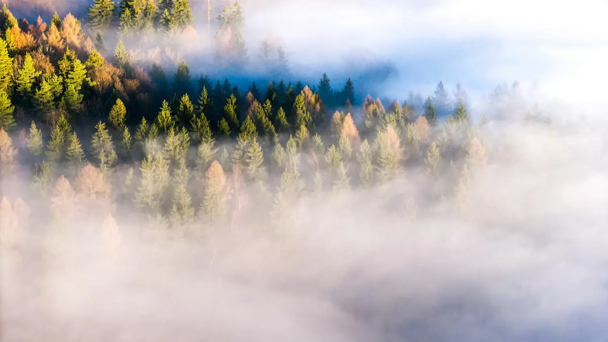 Obrázek /media/ingjjq4a/dji_20251221151207_0033_d-2.jpg