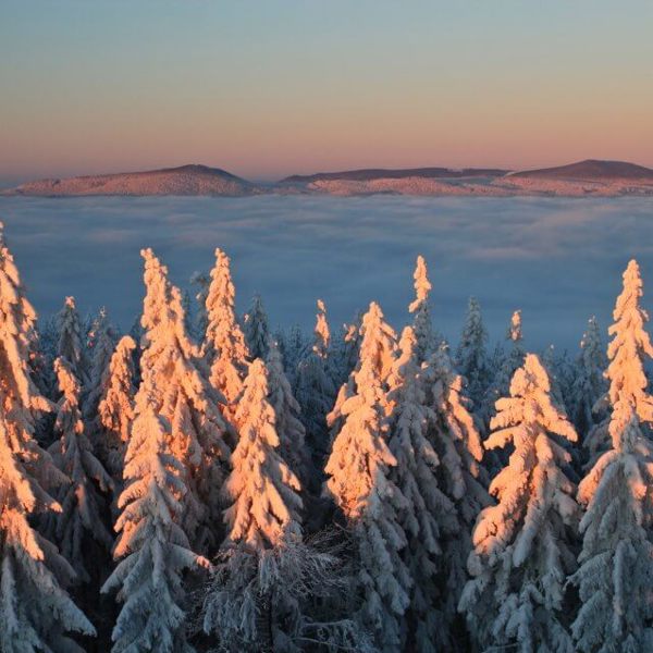 Image /media/jlglsow3/priroda17.jpg