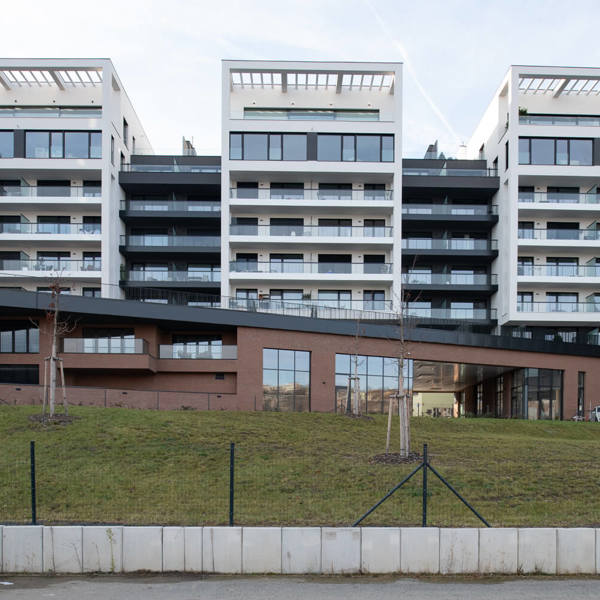 Obrázek /media/k4xhvfml/_dsc3760.jpg