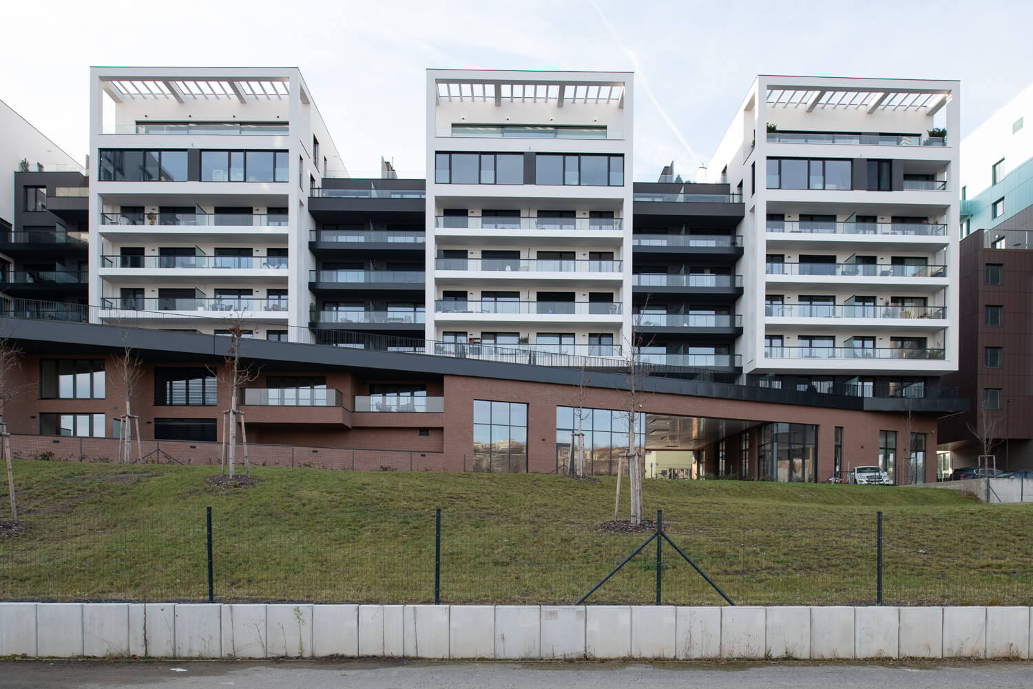 Obrázek /media/k4xhvfml/_dsc3760.jpg