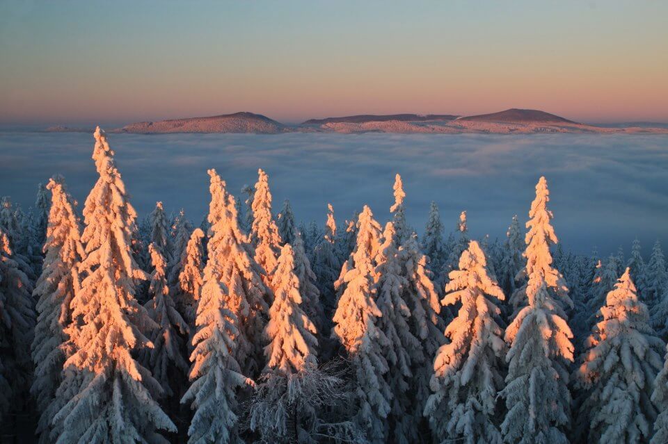 Image /media/kp4ghaor/nature_zima_jensovsky.jpg