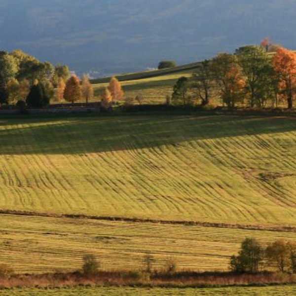 Image /media/o3ufe310/countryside10.jpg