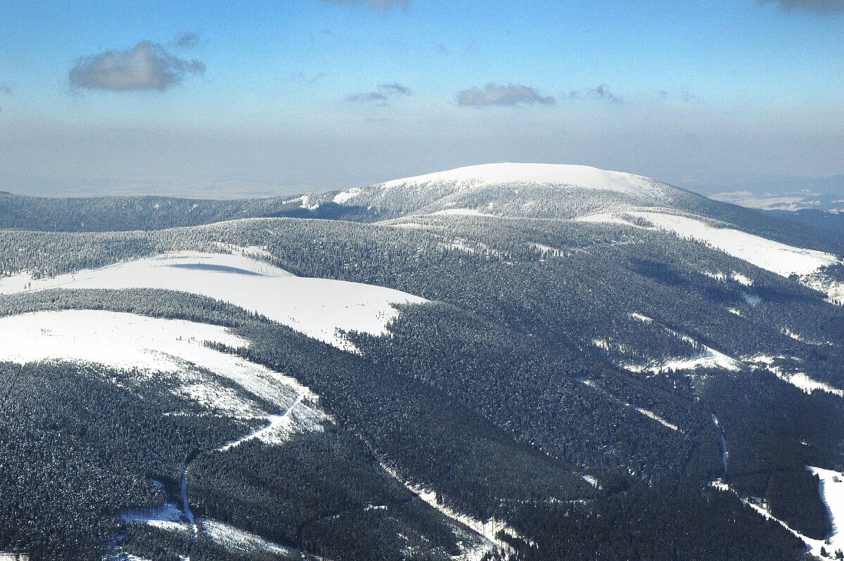 Obrázek kralicky_sneznik.jpg
