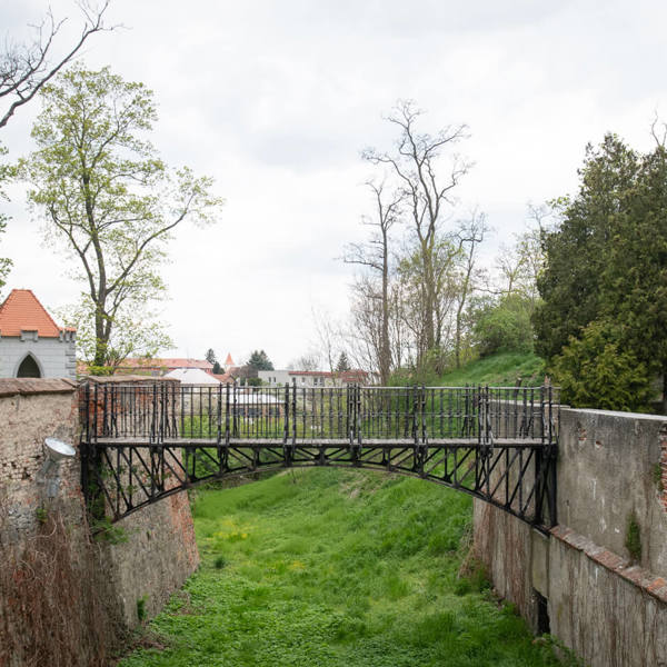 Obrázek /media/omfnfxla/_dsc4784.jpg