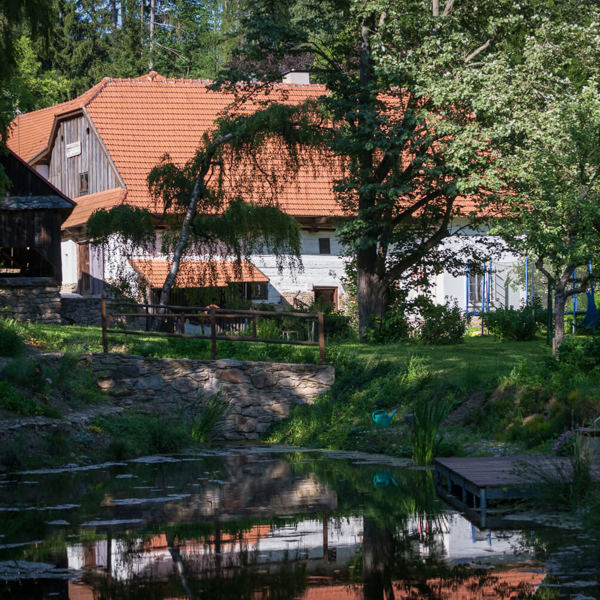Obrázek /media/rkhf1lxl/_dsc8972.jpg