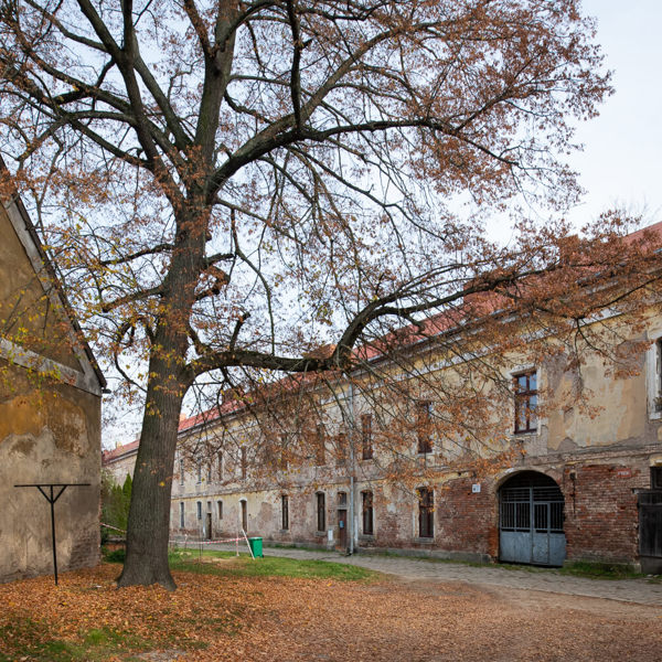 Obrázek /media/rt4dk00i/_dsc0762.jpg