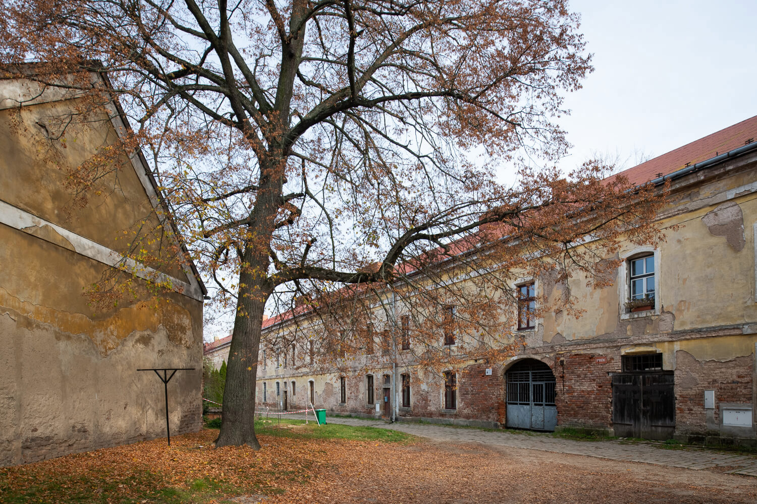 Obrázek /media/rt4dk00i/_dsc0762.jpg