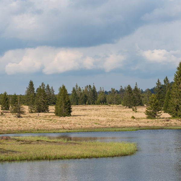 Image /media/sylhuiso/dsc8150.jpg