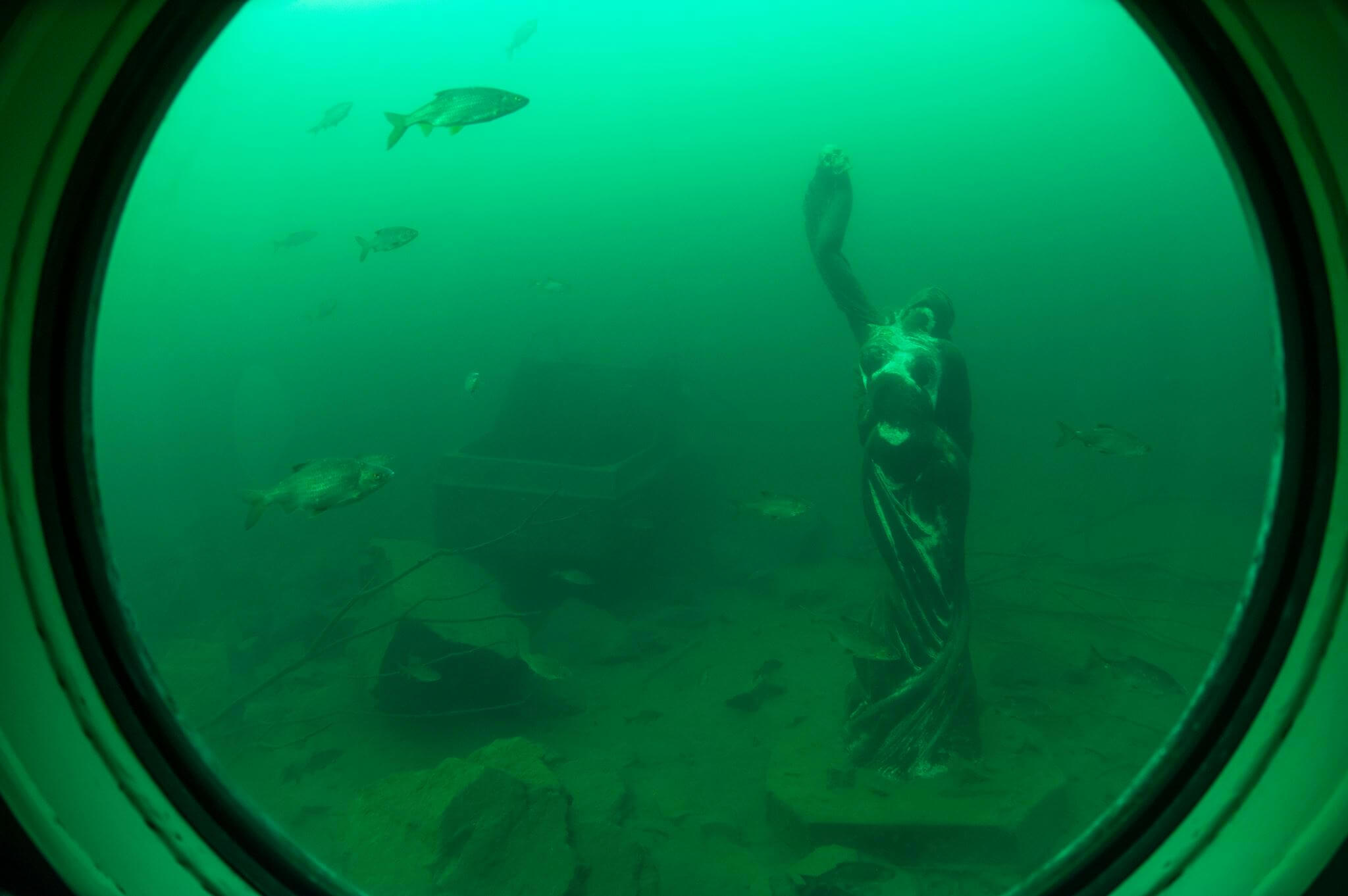 Image 28828365_1854953447868892_8964616738452701006_o.jpg
