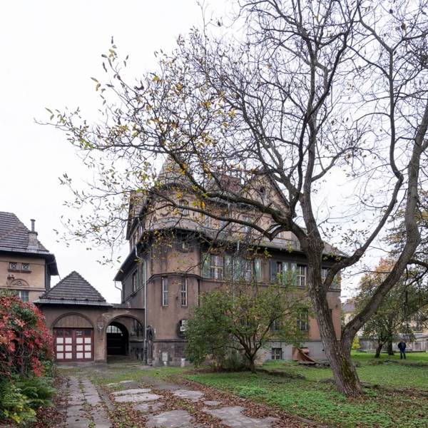 Image /media/vfodpdwq/moravian-silesian_fo_grossmannova_vila_autor_moravian_silesian_fo_9.jpg