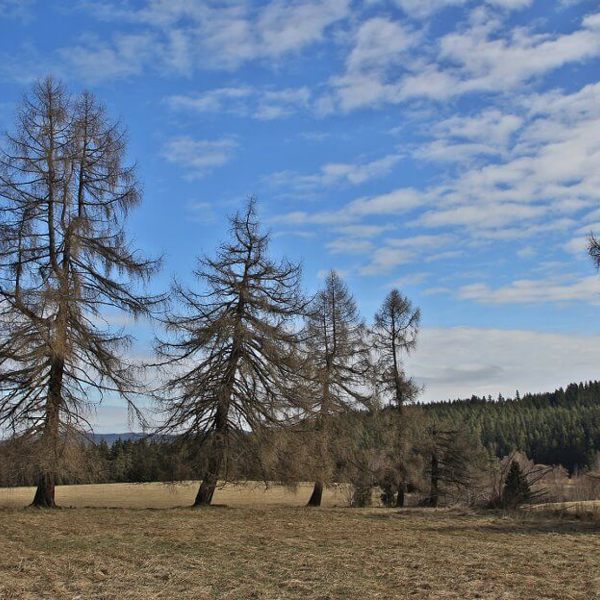 Image /media/vvjbcsd5/priroda12.jpg
