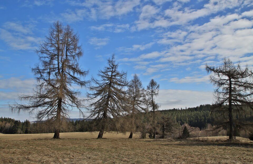 Image /media/vvjbcsd5/priroda12.jpg