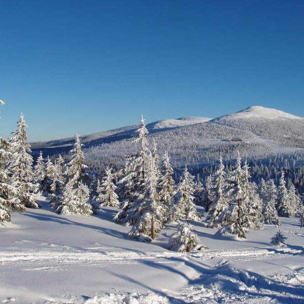 Image /media/wbbfomng/spindleruv_mlyn_-_zimni_krajina_800x600.jpg