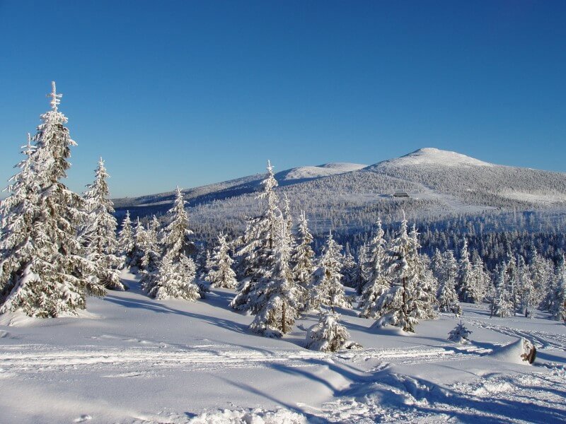 Image /media/wbbfomng/spindleruv_mlyn_-_zimni_krajina_800x600.jpg