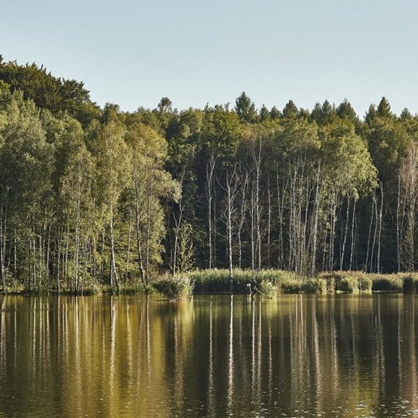 Obrázek /media/wwhpisin/karel_kita_-_moravskoslezske_investice_a_development_26.jpg