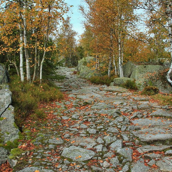 Image /media/xojptoix/np_sumava4.jpg