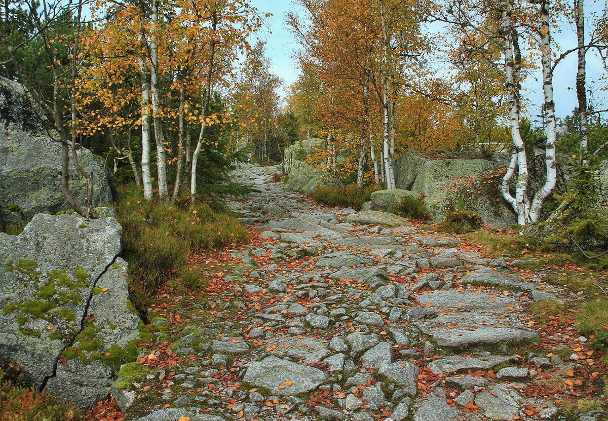 Image /media/xojptoix/np_sumava4.jpg