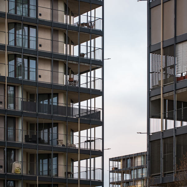 Obrázek /media/xsjpvd0i/_dsc3721.jpg