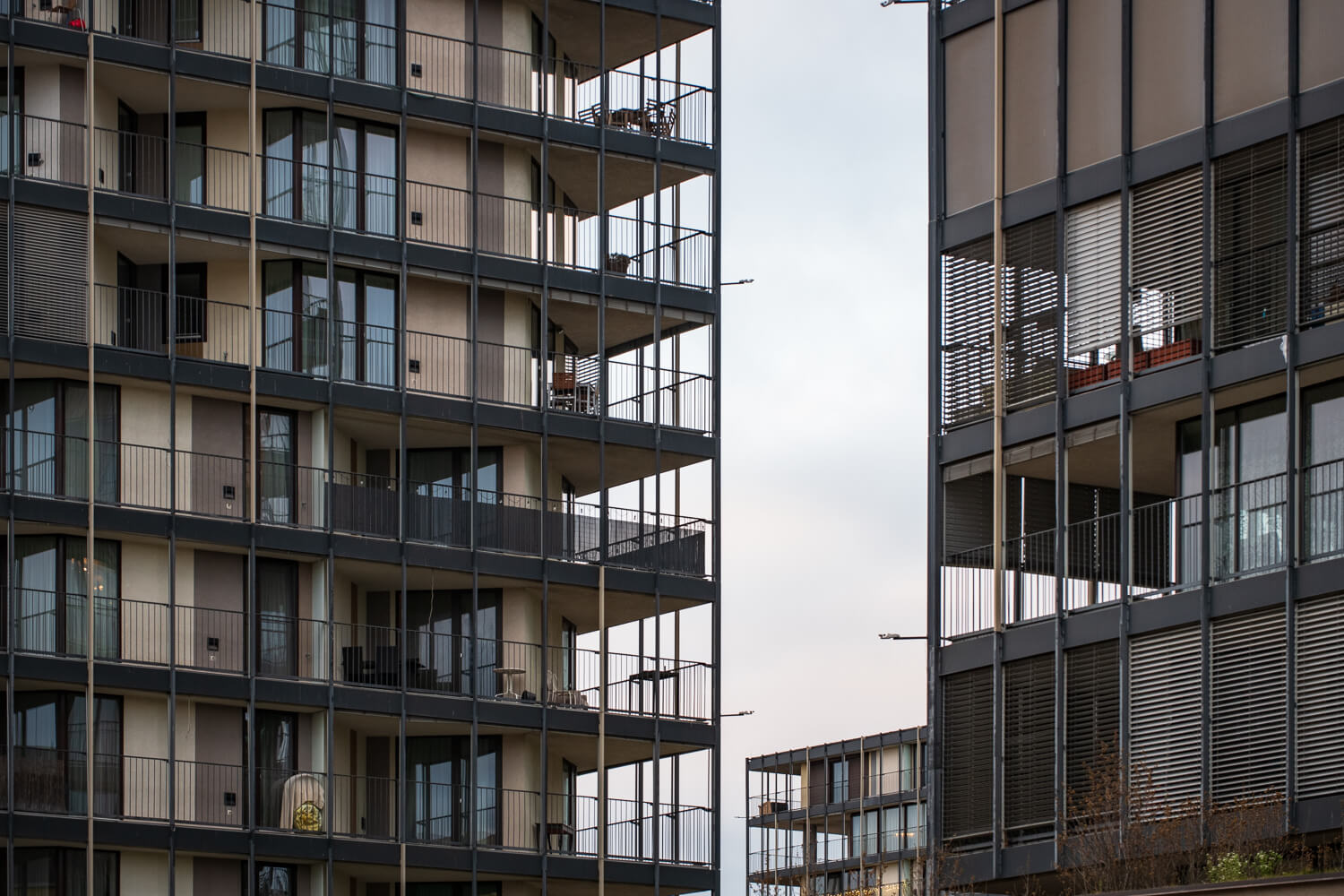 Obrázek /media/xsjpvd0i/_dsc3721.jpg