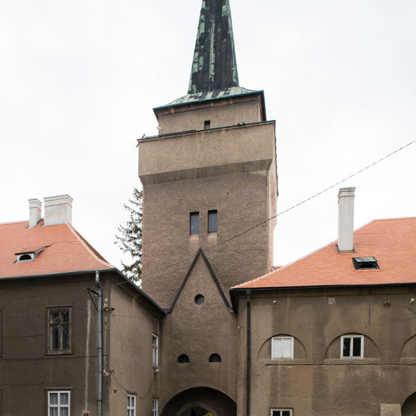 Obrázek /media/ycadsyrs/_dsc4955.jpg